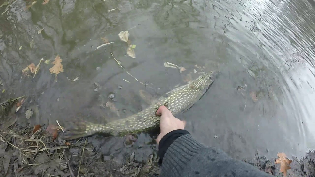 Winter PIKE FISHING in SEWERS???-- Des Plaines River Fishing 2020