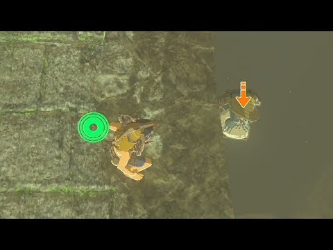 依頼を受けて、変装中のイーガ団を水没させてみた