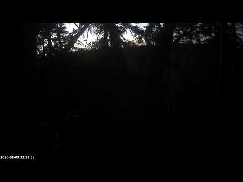 Golden Eagle Nest, Estonia live stream preview