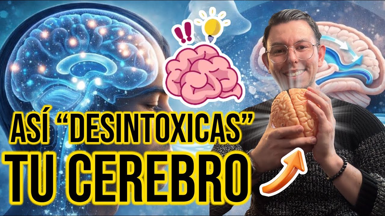 ¡Esto LIMPIA tu CEREBRO! (Literalmente) | DrPoloGuerrero