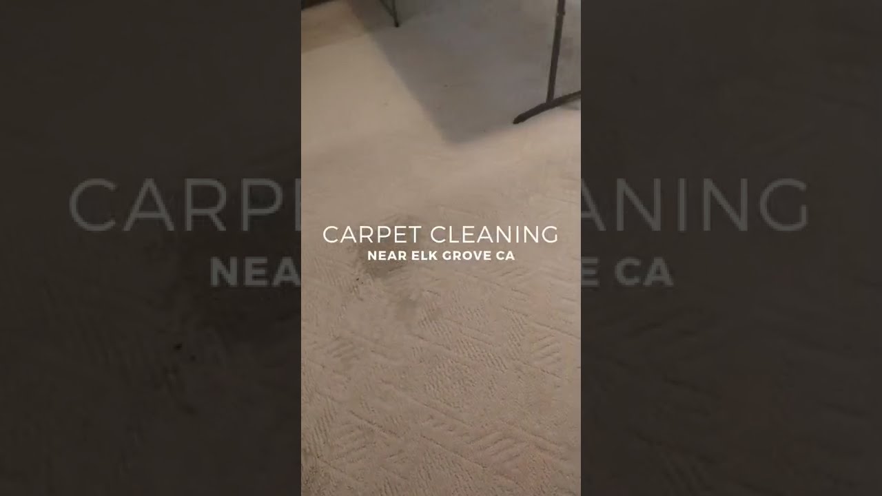 Carpet Cleaning Near Elk Grove Wilton Ca Before After Shorts You