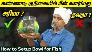 How to setup Bowl for a Fish கண்ணாடி குடுவையில் மீன் வளர்ப்பது சரியானதா