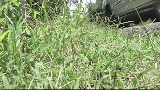 Couple charged with child abuse