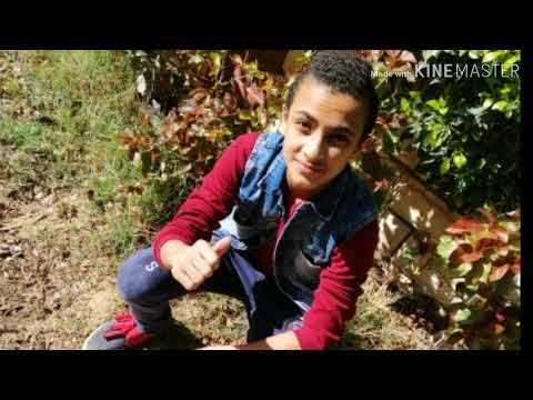 مهرجانات البفة الشعبية 