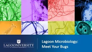 Lagoon Microbiology: Meet Your Bugs