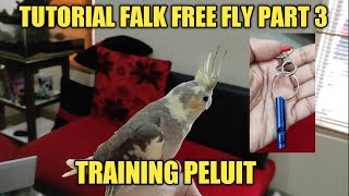 COCKATIEL FREE FLY TRAINING TUTORIAL PART 3 | RECALL WITH A WHISTLE