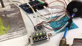 Biomimicry of embryonic circulation using lab-on-a-chip