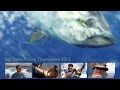 Hooked on the Azores - Big Game Fishing Tournament 2013 Documentary