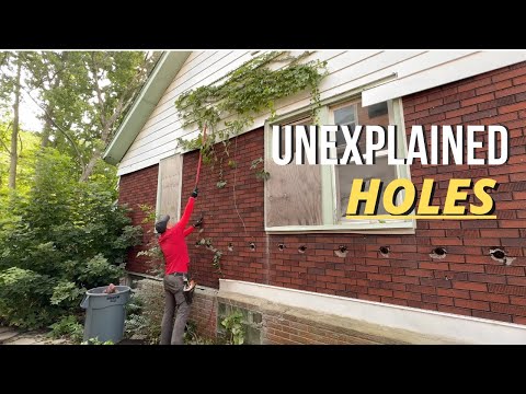 A Mom S Hard Work And The STRANGE Mystery Hiding Right Next Door 