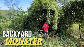 Download Lagu The MONSTER Living in the Backyard STOPPED Them From Going Outside MP3 Download Lagu The MONSTER Living in the Backyard STOPPED Them From Going Outside MP3