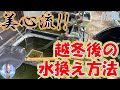 美心流！越冬後の水換え方法をご紹介♪【飼育ノウハウ】＃１３８ ～美心めだか～