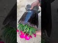#How to change the potty#Repotting the dragon-shaped plant#Gardening Tips #PlantingHandbook #Flower