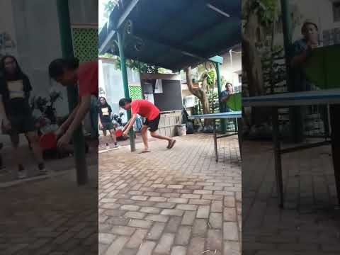 pingpong ivaa 9