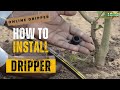 Online dripper installation  how to install online dripper  irrigation system