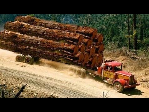 [World Amazing]  Dangerous Heavy Wood Largest Truck Skills Driving Off Road