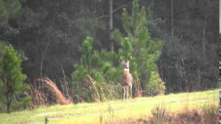L&R GAME PRESERVE Leakesville MS 12-26-15 1 screenshot 5
