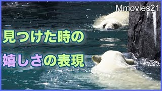 ララを見つけた時のリラの喜び方が可愛い　Polar Bears