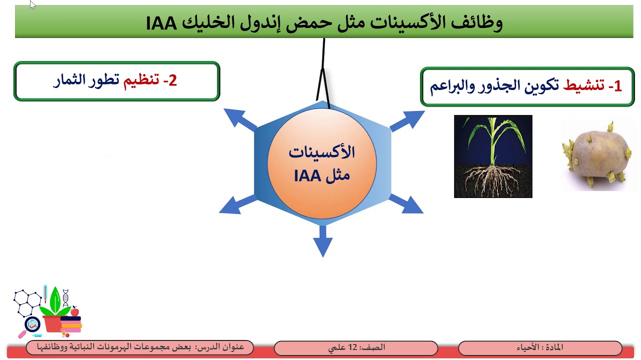 الثاني عشر علمي   الأحياء   استجابة النباتات للمنبهات  5