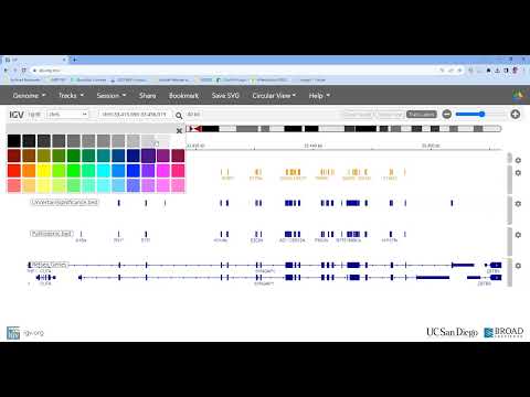 How to add custom BED files to the IGV web app