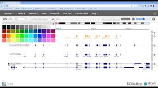 How to add custom BED files to the IGV web app