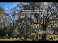 Hauntings of Edisto Island Presbyterian Churchyard: The Paranormal View [AI generated, mostly]