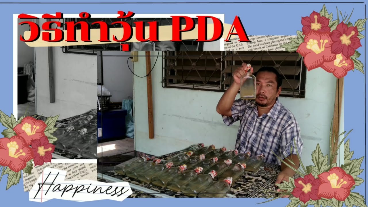 #วิธีการทำวุ้นPDA เพื่อใช้เป็นอาหารเลี้ยงแม่เชื้อเห็ด (การเพาะเห็ดครบวงจร ตอนที่ 1)