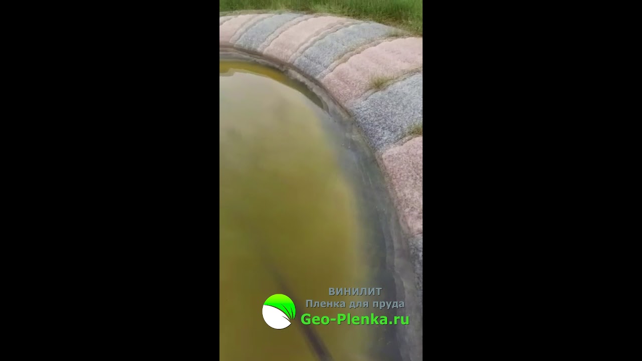 Пленка Винилит