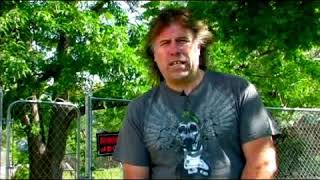 How To Take Care Of A Wild Turtle