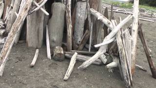 Scenes from Double Bluff Beach, Whidbey Island, Washington USA
