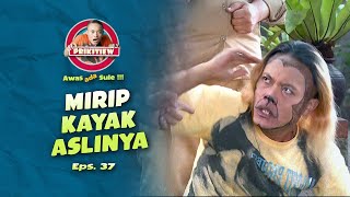 Ngakak! Sule Cosplay Jadi Monyet | AWAS ADA SULE | EPS.37 (2/2)