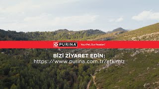 Patili Dostlarımız Ve Dünyamız Için En Iyisini Sunmaya Kararlıyız.
