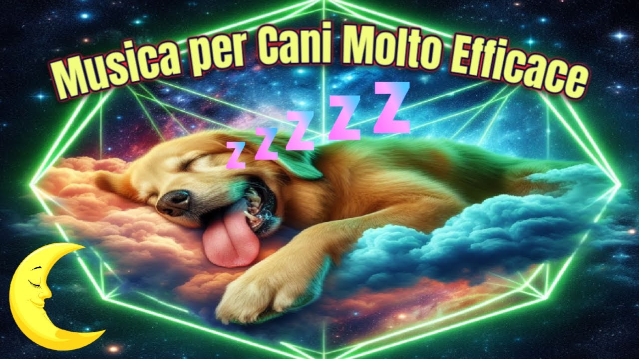 Cani Migliore - Album by Musica per Cani Orchestra | Spotify