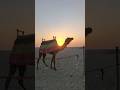 😄Fourth and last Day in Banaras😔 #shorts #ytshorts #shortsfeed #vlog