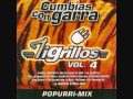 tigrillos - la cumbia del conejito