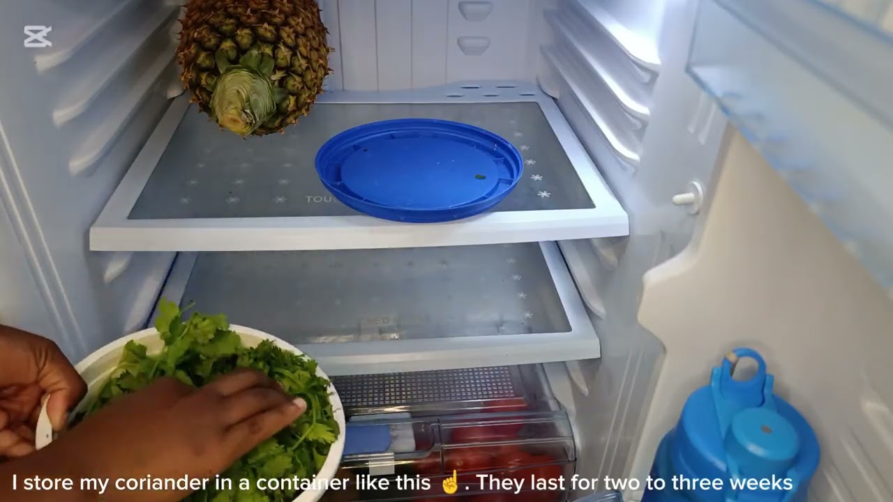 Grocery Restock || Fridge Restock 