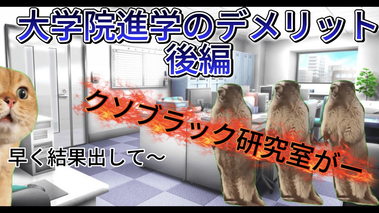 【現実】【猫ミーム】何も考えずに大学院行くと後悔するかも？大学院に進学するデメリット後編