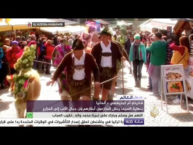 حول العالم .. تزيين الأبقار بأكاليل الزهور لجذب السياح في ألمانيا