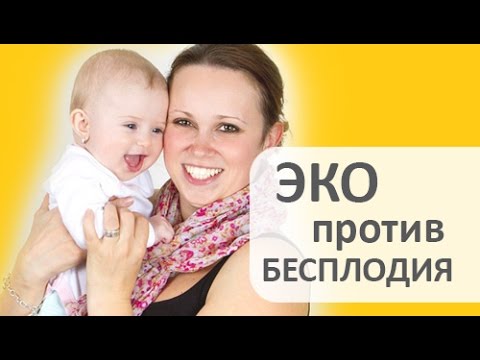 ЭКО оплодотворение. 🚼 Экстракорпоральное оплодотворение ЭКО даст шанс стать счастливыми родителями.
