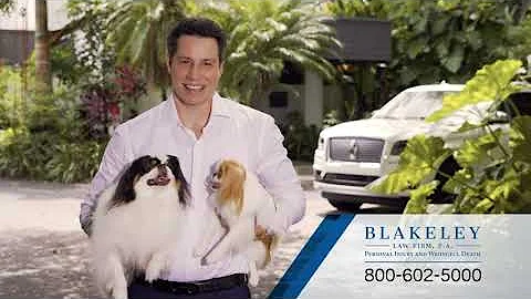 Blakeley Law Firm. Pet Safety Tip