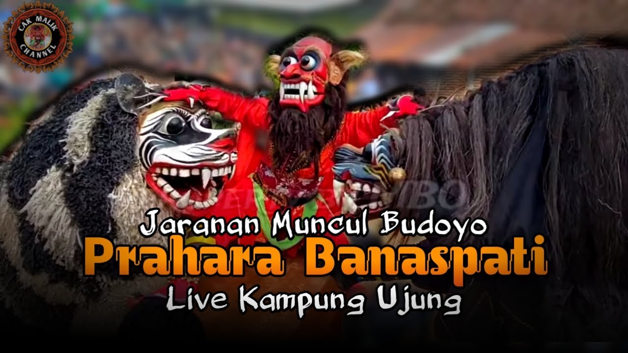 Munculnya sang raja banaspati Muncul Budoyo live Kampung Ujung,Banyuwangi