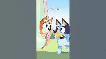 Poor Little Bug Song in Different Languages 🐞 | Bingo - Official Channel #ytshorts