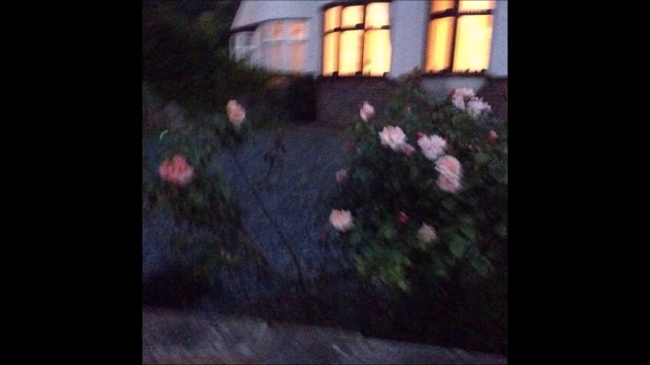 Mira ❀ Foliage ❀ - Selfish en YouTube Mira ❀ Foliage ❀ - Selfish en YouTube