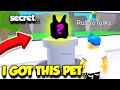 I Got An INSANELY RARE SECRET PET From Completing This Tycoon In Robot Simulator! (Roblox)