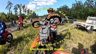 Shoalhaven Enduro Riders - Mountain Goat Madness - The Scream of Goats - KTM, BETA, Yamaha, Husk