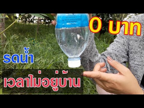 วีดีโอ: DIY การให้น้ำหยด