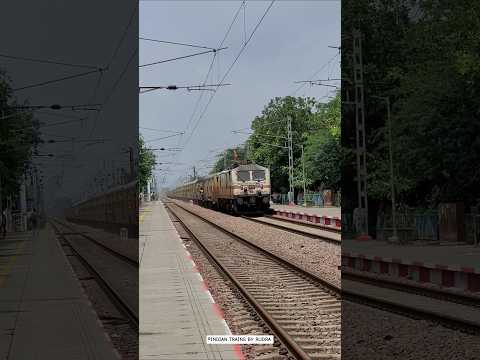 Shrill Honker Gzb S Wap7 Hauling 14662 Shalimar Malani Express At 90kmph Wap7 Powerful Shorts 