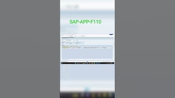 Automatic payment program F110 Errors analysis part 6 # SAP FICO # CO #sap