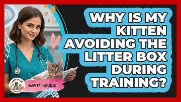 Why Is My Kitten Avoiding The Litter Box During Training? - Happy Cat Handbook