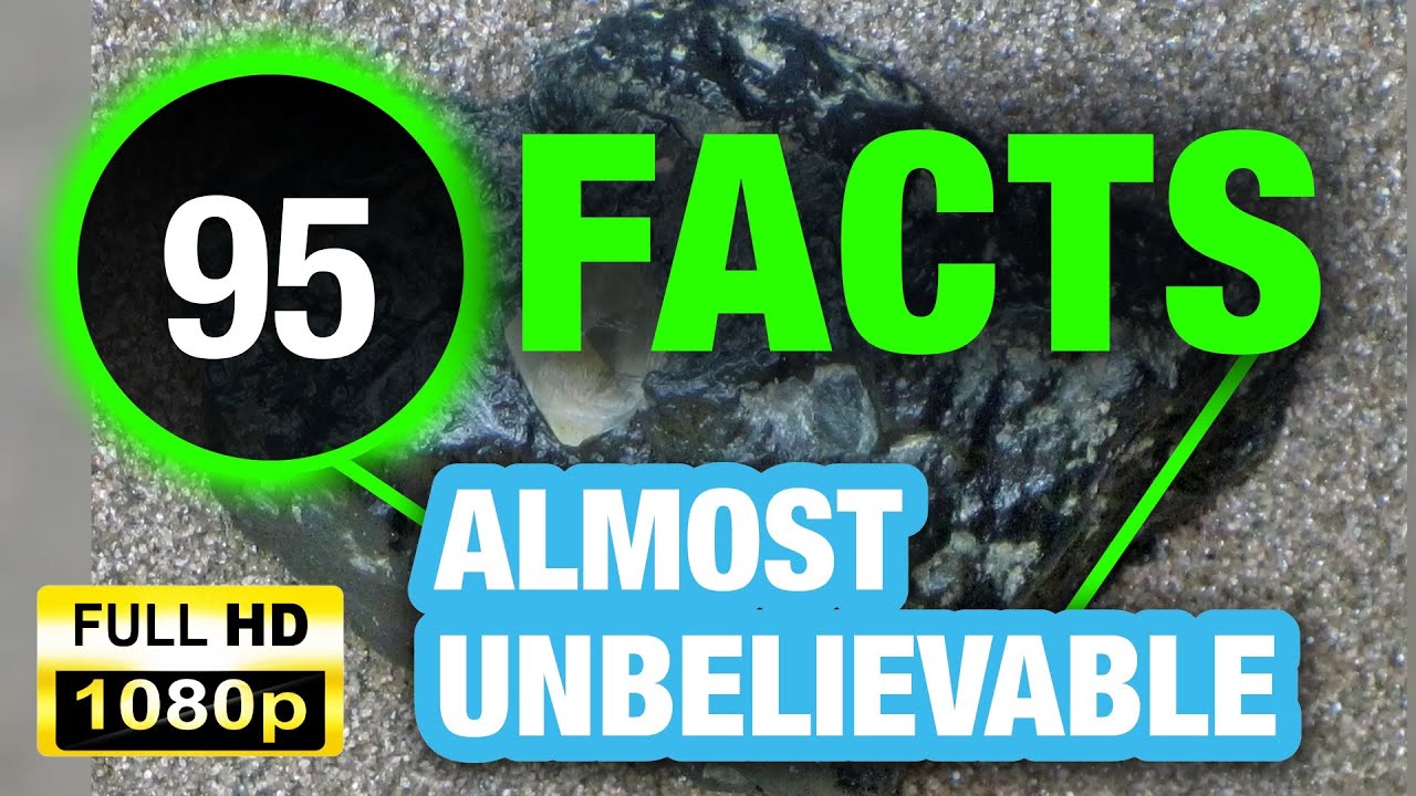 95 Curious Facts That Will Make You the Star of Any Conversation!