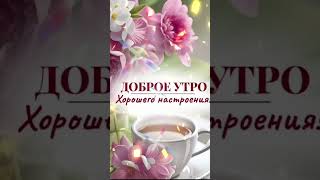 Чудесного Воскресного Утречка💖🤗 Отличного Настроения💝😊